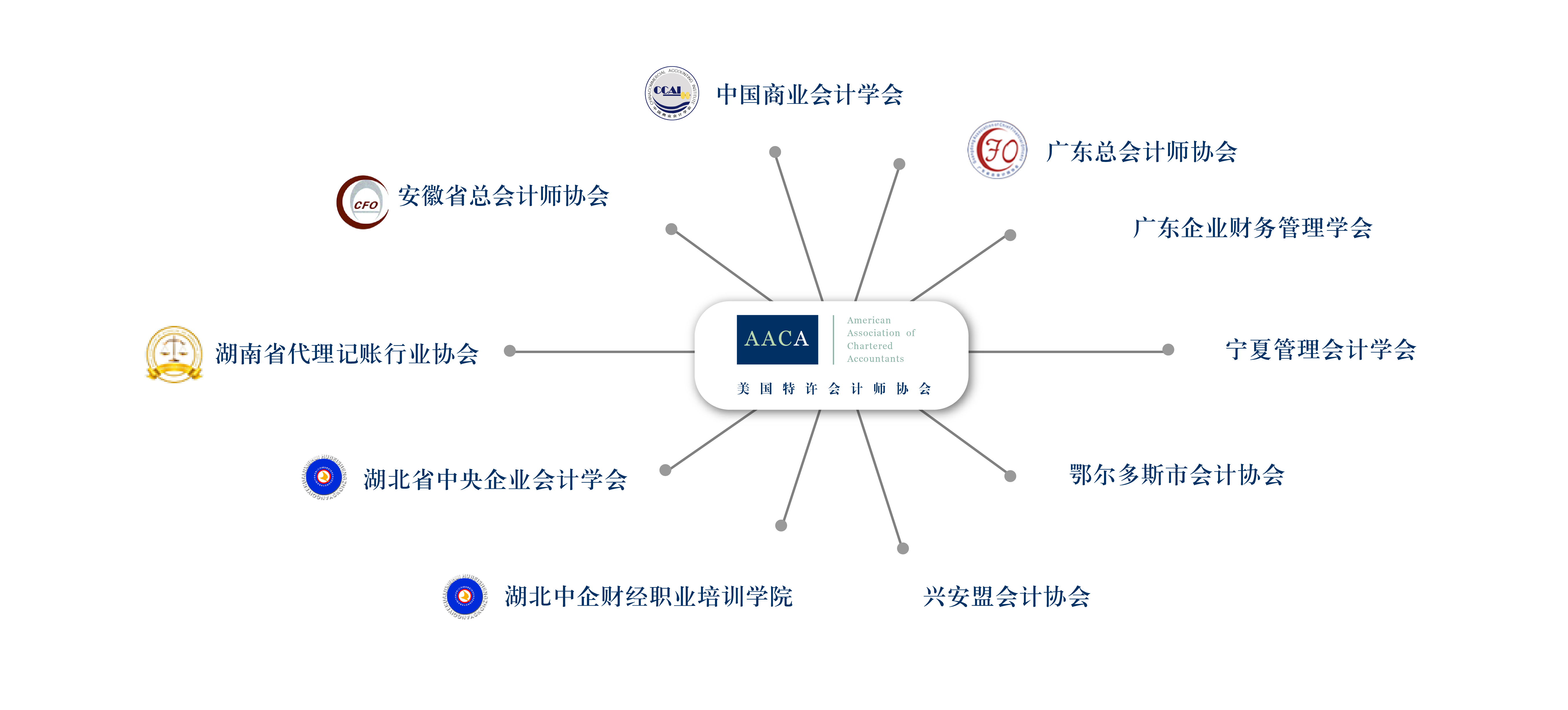 各級政府給予取得國際注冊會計師資格者政策和物質的支持